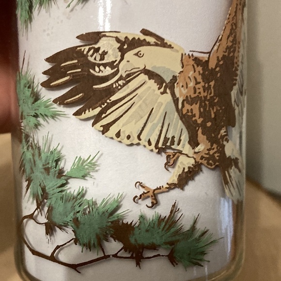 VINTAGE BURGER CHEF "THE BALD EAGLE" 1978 ENDANGERED SPECIES COLLECTORS Glass - Picture 8 of 13